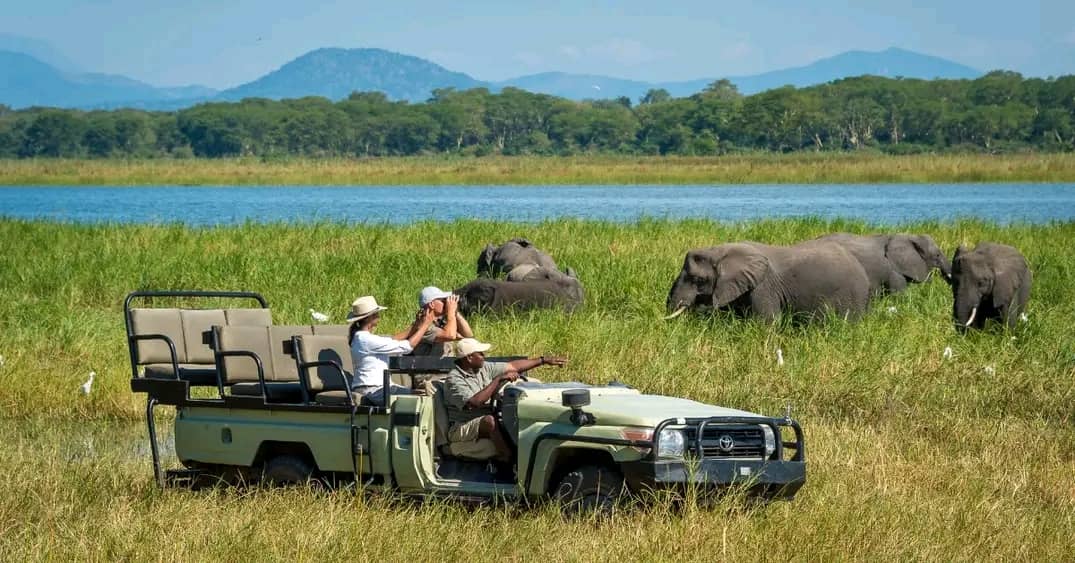 Namibian Desert Road